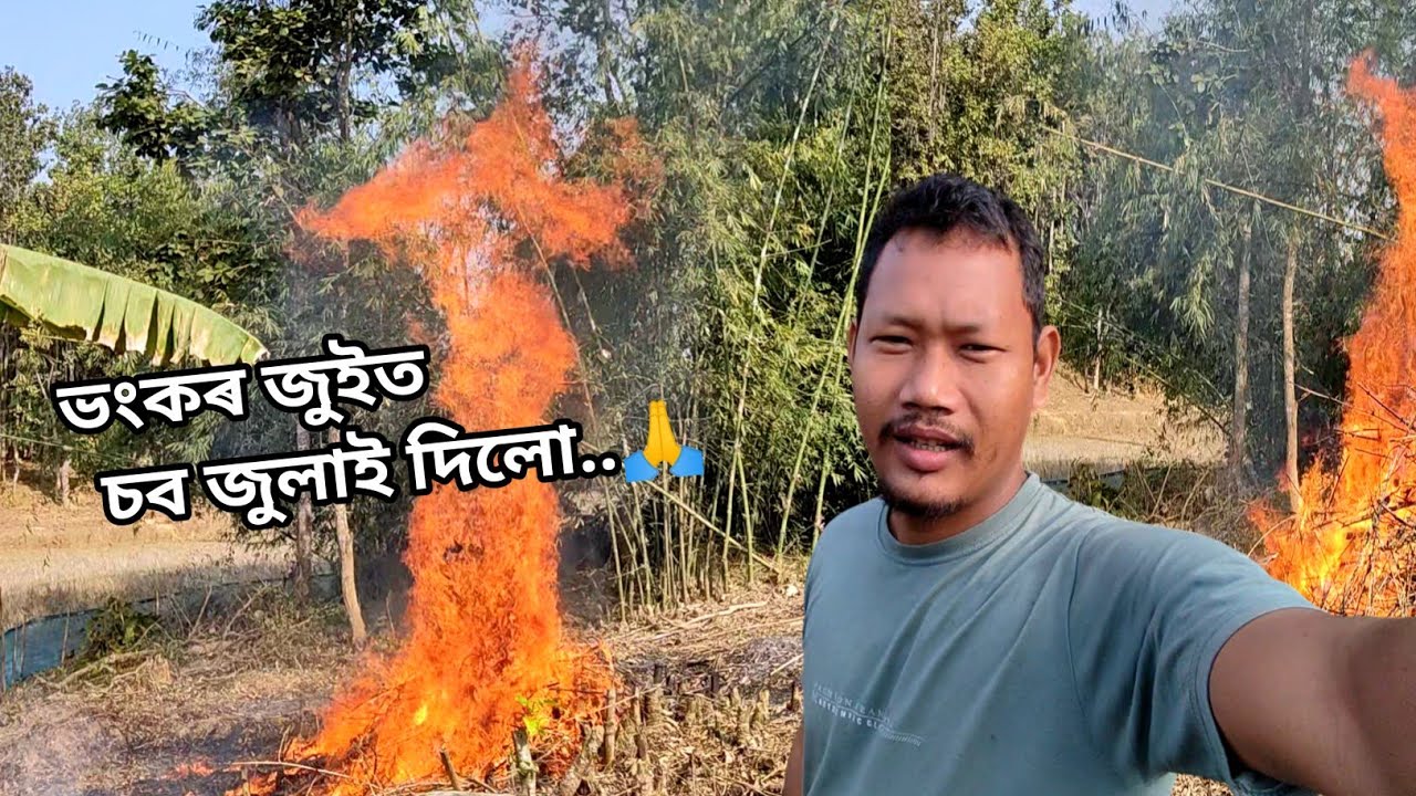 কল ৰুৱাৰ বাবে কি কি কাম কৰিব লাগে চাওক | ভংকৰ জুইত চব জুলাই দিলো | KAUSHIK VLOGS | BANANA FARMING
