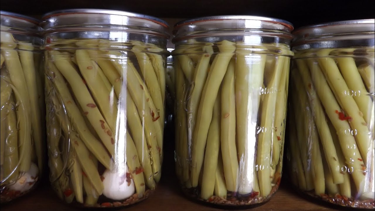 How To Can Dilly Beans