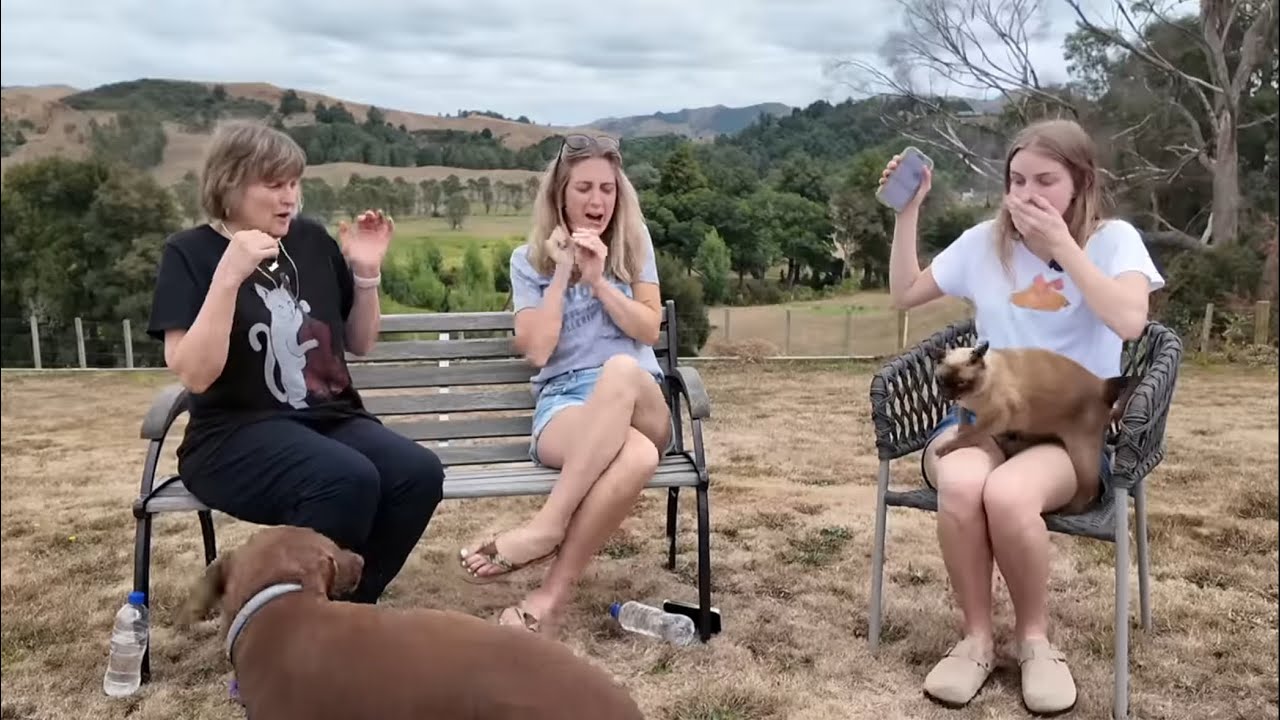 Katie & Karen Q&A, New Zealand | 2025 🇳🇿