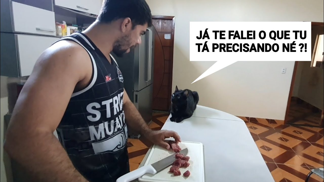 Cozinhando com meu Gato Tagarela👨🏻‍🍳😼 | Júlio e Eu