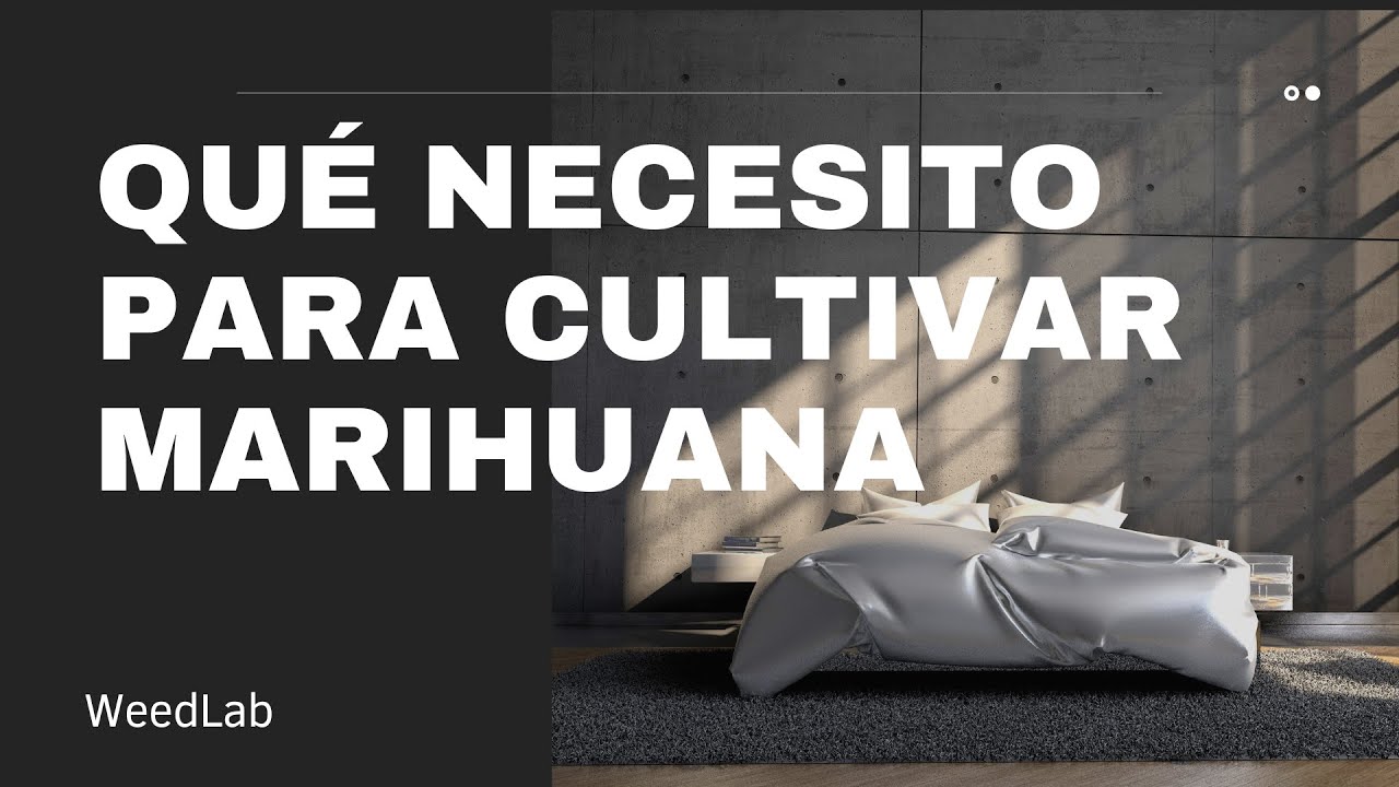 Qu&eacute; iluminacion NECESITAS para CULTIVAR MARIHUANA?