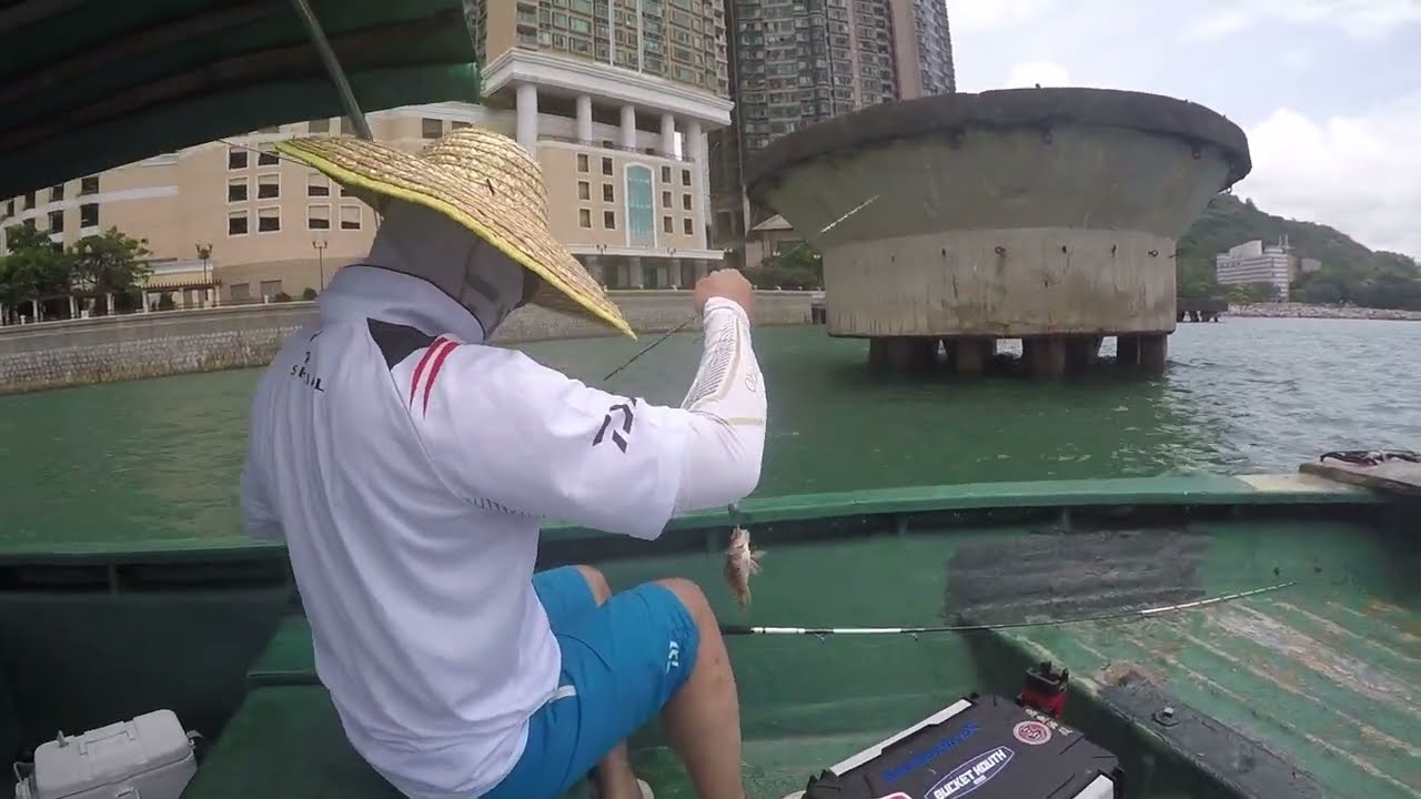 港水釣GT !?｜ 細鱗｜青龍頭釣魚3.0