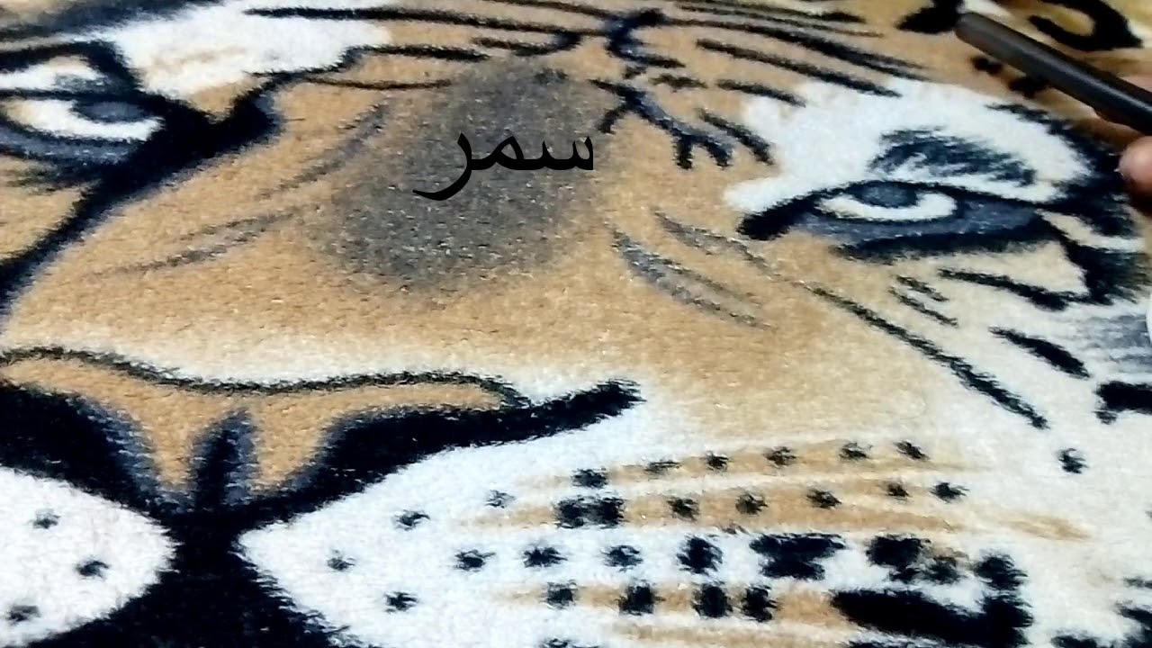 مدي التوافق بين أنثي (الجدي) ورجل( الدلو)