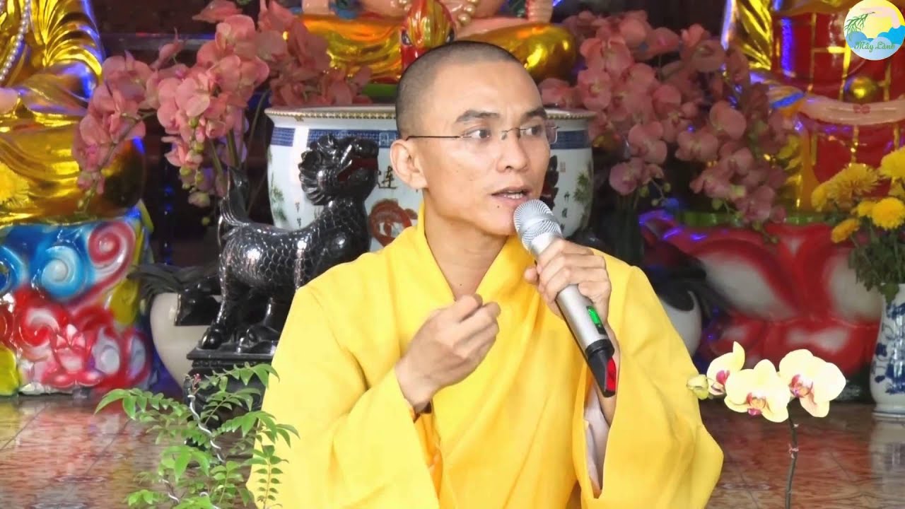 335. Phép Mầu Của Việc Lạy Phật Mỗi Đêm (Rất Hay) (ĐĐ Thích Thiện Tuệ)