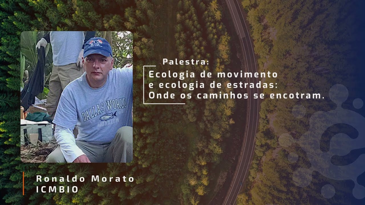 Ronaldo Morato | Brasil | Conferência