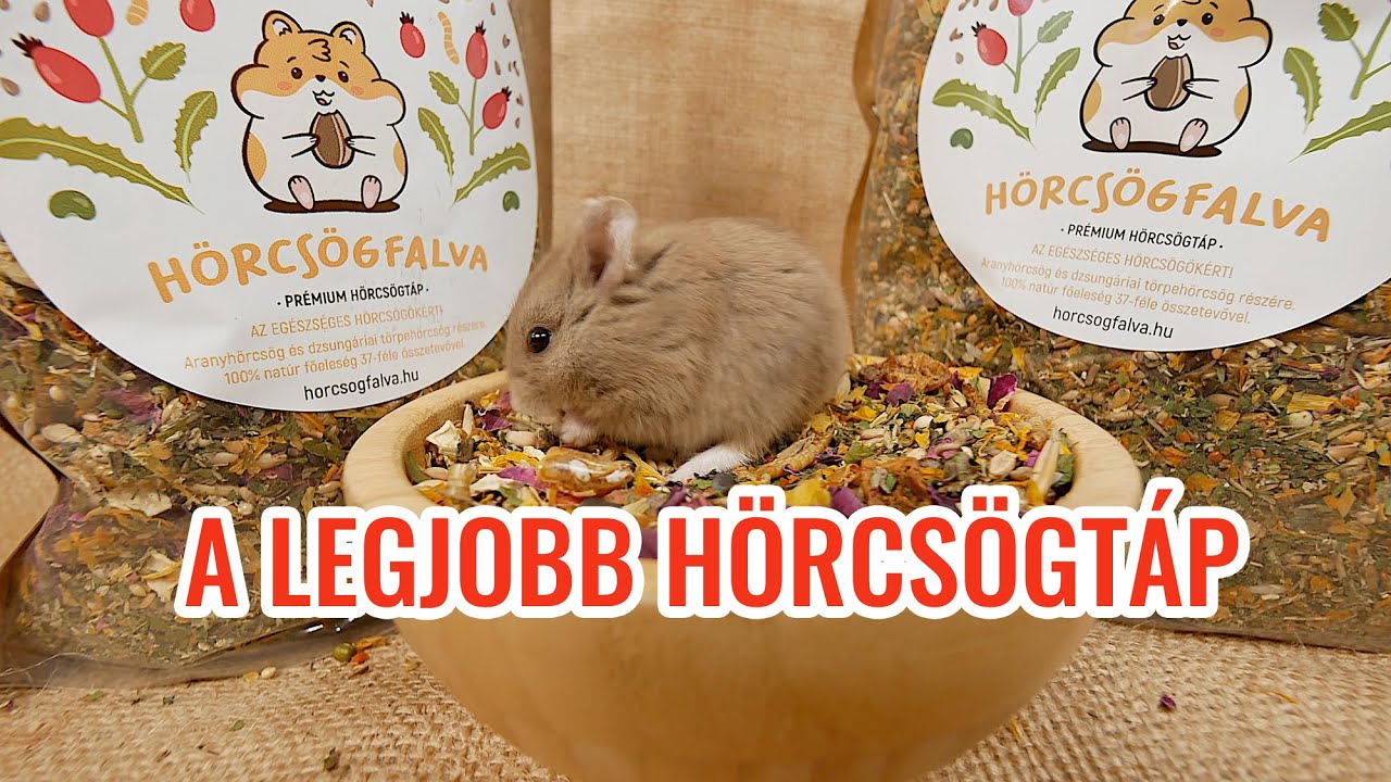 🐹Aranyhörcsög táplálása, dzsungáriai törpehörcsög etetése - Prémium Hörcsögtáp - www.horcsogfalva.hu