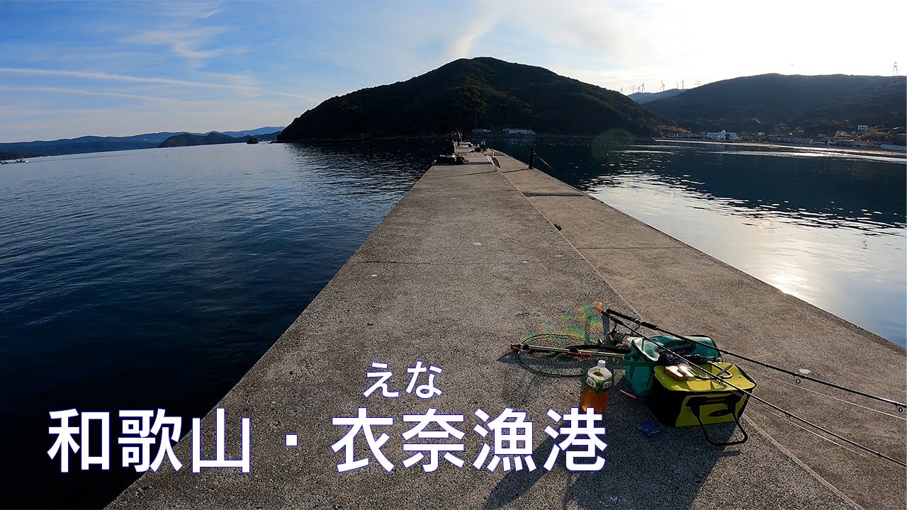 【釣り場動画#76】和歌山の一級釣りポイント衣奈漁港、青物・アオリイカ・根魚など、色んな場所から様々な魚が狙える面白い漁港