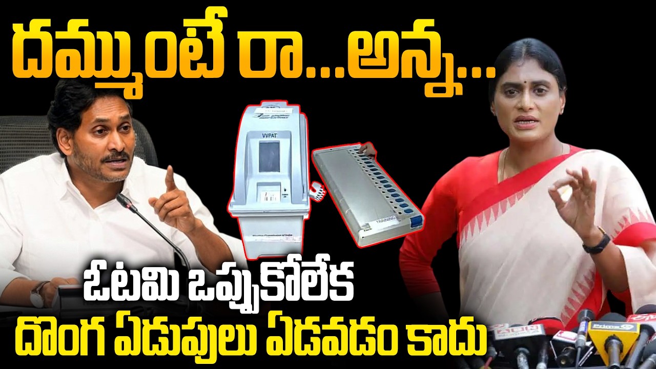 దమ్ముంటే రా..! - ఓడిపోయి దొంగ ఏడుపులు ఏడవడం కాదు - YS Sharmila  Comments on YS Jagan Over EVM Issue
