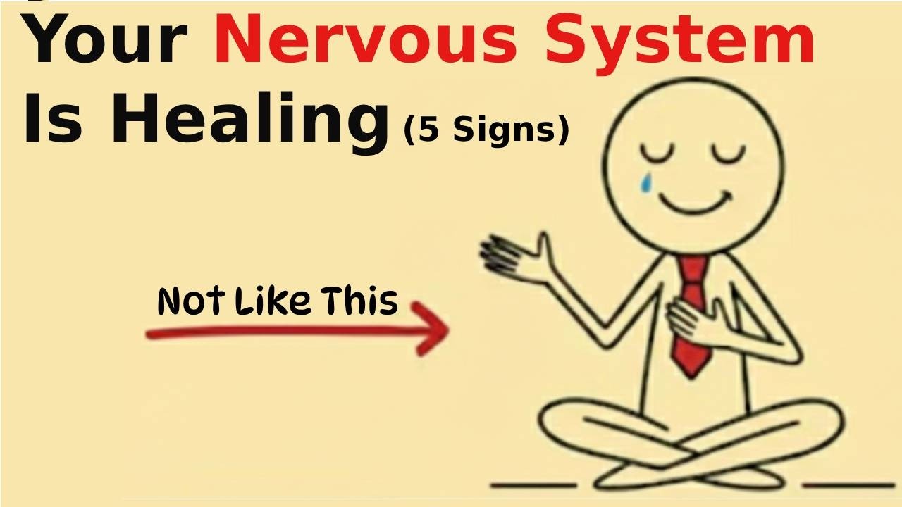 5 Signs Your Nervous System is Healing (Even if it doesn't feel like it...)