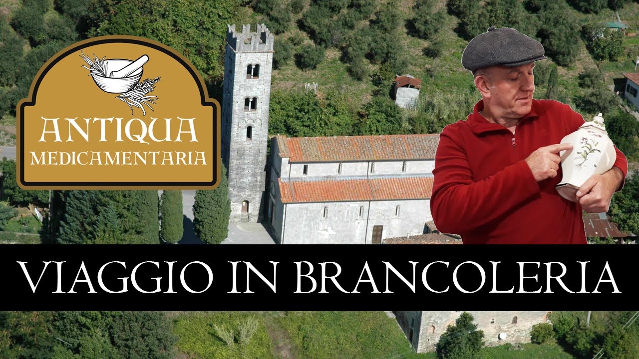 ANTIQUA MEDICAMENTARIA - Brancoleria