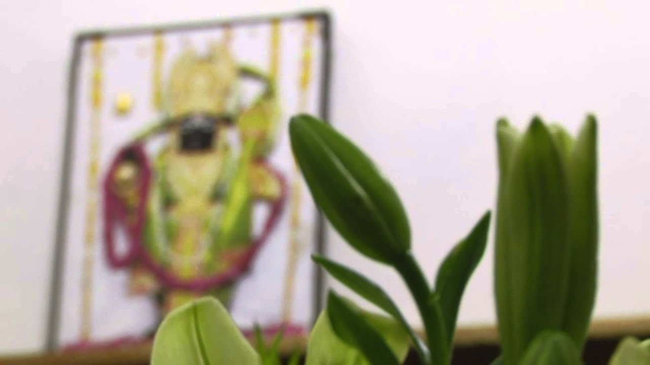 Temple Function 2014 - Guest Welcome Part-1