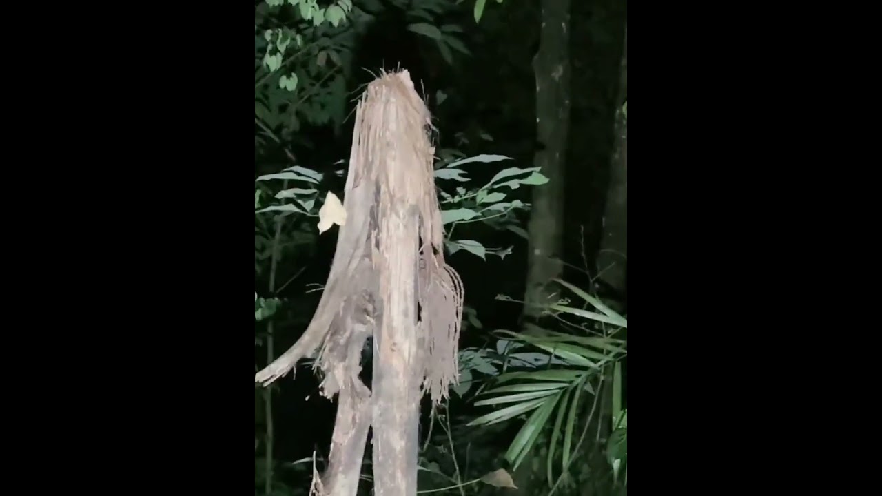 padu gila bukit cina part 2/4 paranormal loy ahmad collab ajax 007
