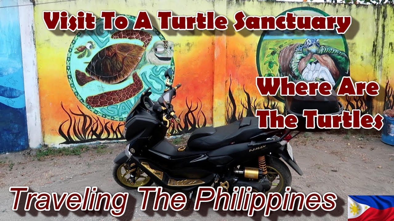 VISIT TO A TURTLE SANCTUARY - BUT WHERE ARE THE TURTLES : TRAVELING THE PHILIPPINES