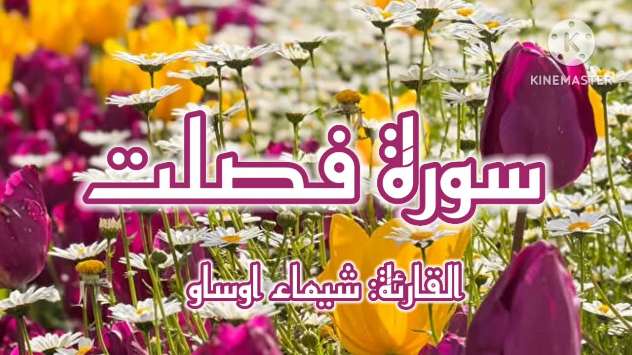 سورة فصلت برواية ورش عن نافع| القارئة شيماء أوساو || Surat fussilat by Chaimaa Oussaou 