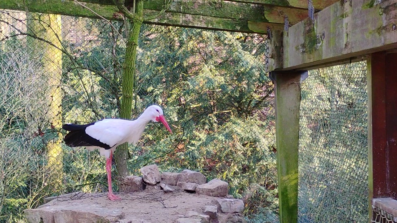 Heimat-Tierpark Olderdissen Bielefeld 04.03.2026