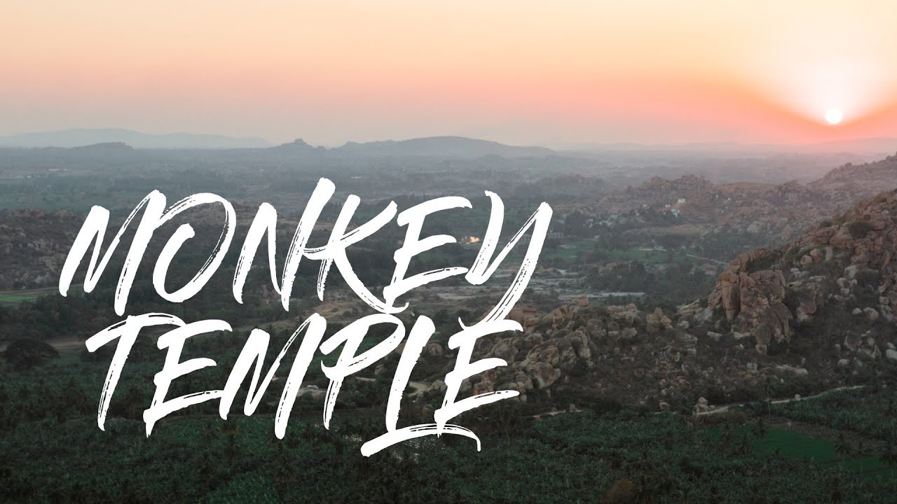 2 Minute Daily Travel Vlog || India - Monkey Temple