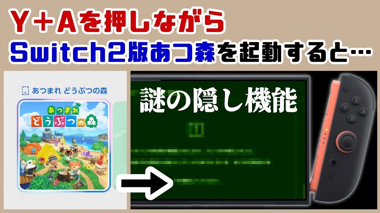 【あつ森】Y＋Aを押しながらSwitch2版あつ森を起動すると…謎の隠し機能が存在した…！？ あつ森の引越し機能に隠れた細かすぎる小ネタ集！【あつまれ どうぶつの森】@レウンGameTV