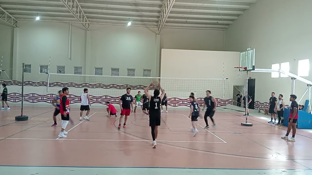 PATITOS FEOS VS BULLDOGS