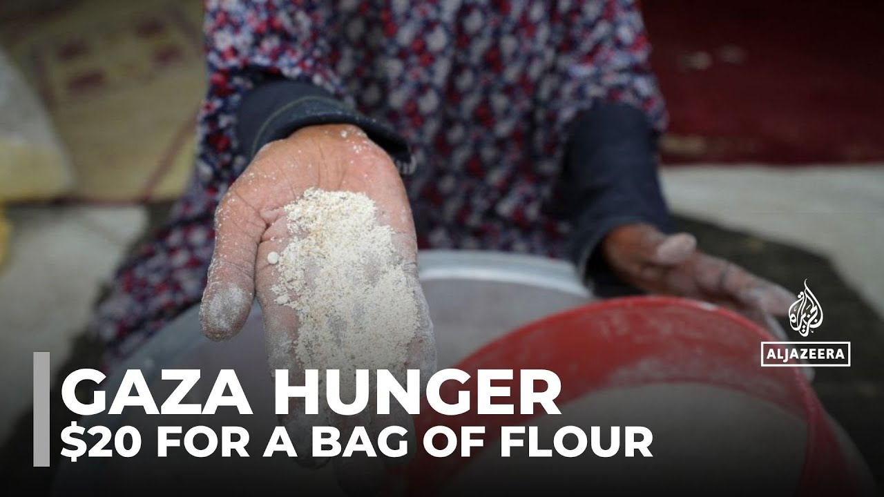 Gaza hunger crisis: Flour prices hit $20 per kilo as Israeli blockade leaves families scavenging