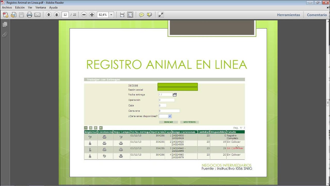 Registro en Linea SNIG