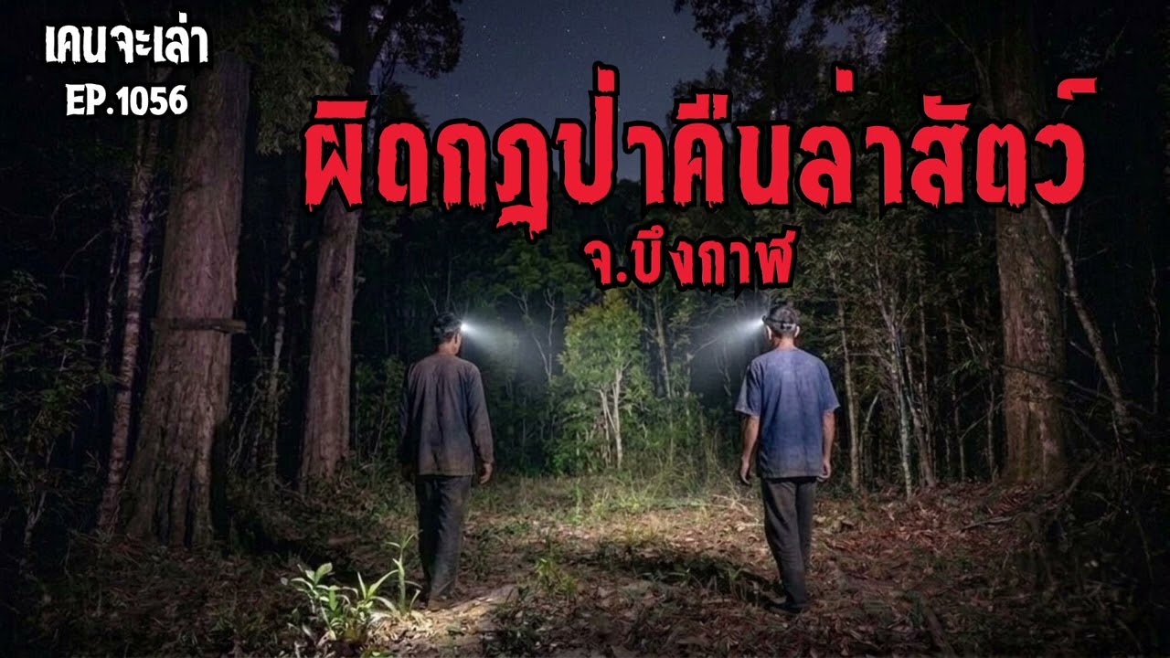 ผิดกฎป่าคืนล่าสัตว์ จ.บึงกาฬ | เรื่องผี EP.1056