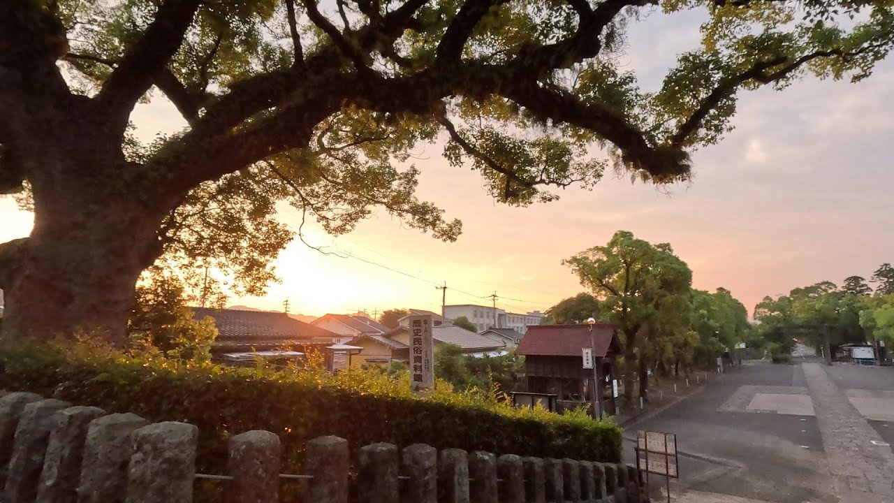 鹿児島散歩 霧島市隼人町 鹿児島神宮参道