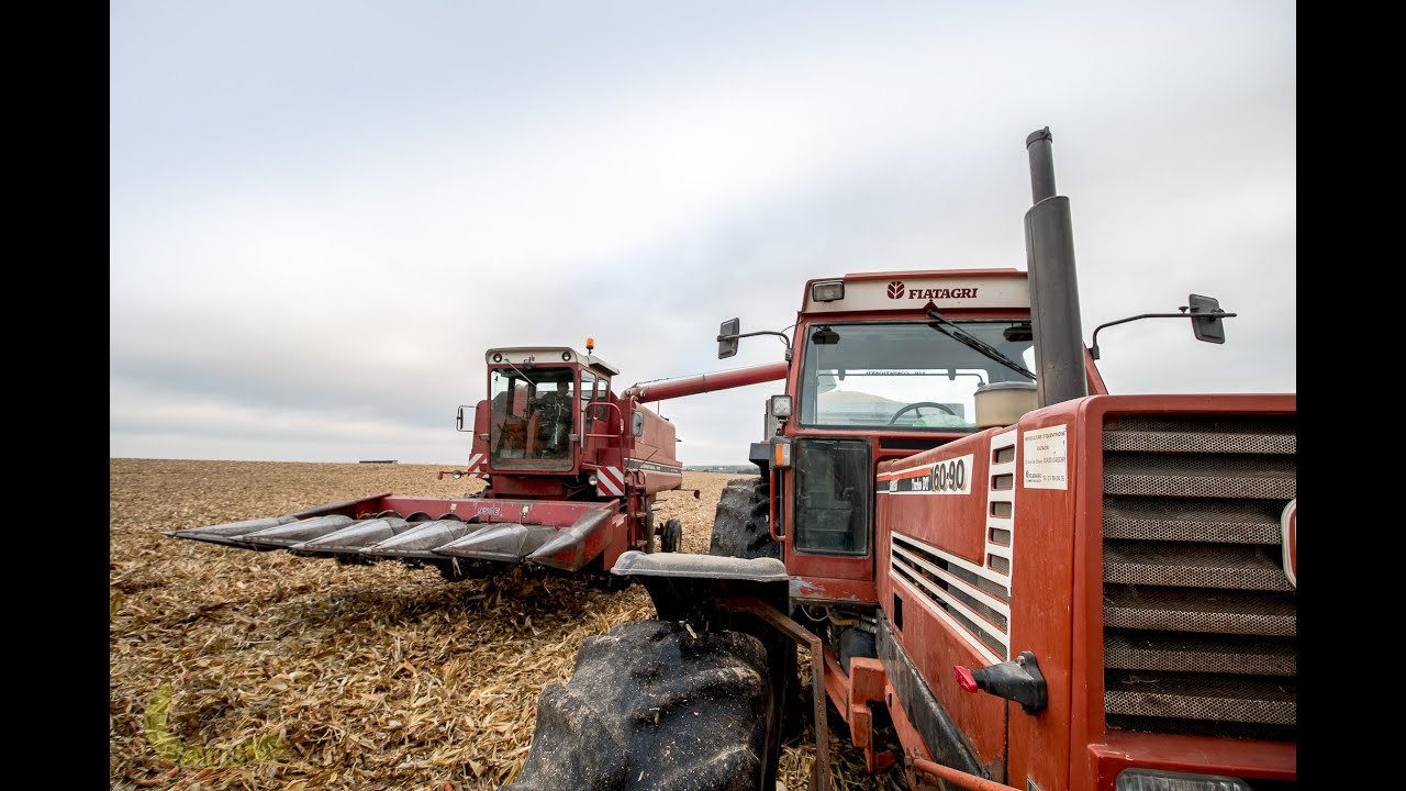 Maïs Grain / Axial Flow / Fiat 160.90 / Case IH