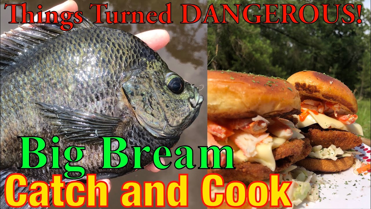 Big Bluegill Fishing | IT GETS BAD! | Catch and Cook