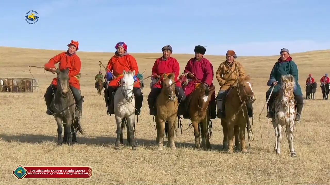 Төв аймгийн БАРУУН БҮСИЙН аварга шалгаруулах адуучин тэмцээн 2022он Horseman Aduuchin temtseen