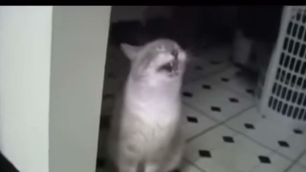 My Reaction When It’s Friday The 13th!