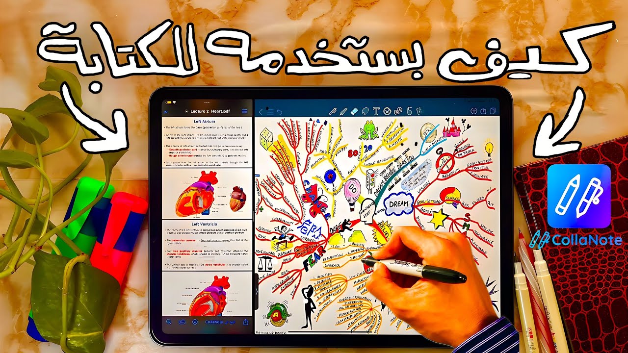 كيف بستخدم الآيباد لدراسة الطب؟📚|أفضل تطبيق لكتابة الملاحظات على الآيباد📝|  IPad Pro ￼