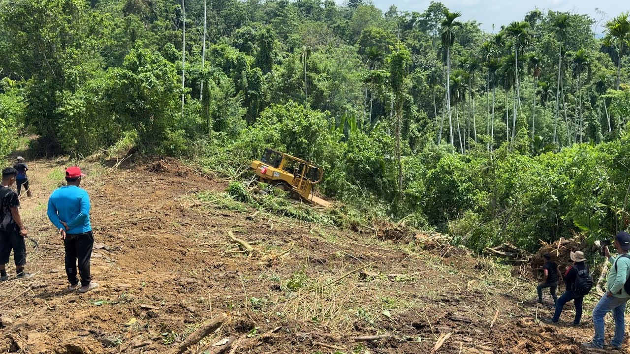 Caterpillar D6R XL Master Bulldozer Clears Decades of Neglected Land