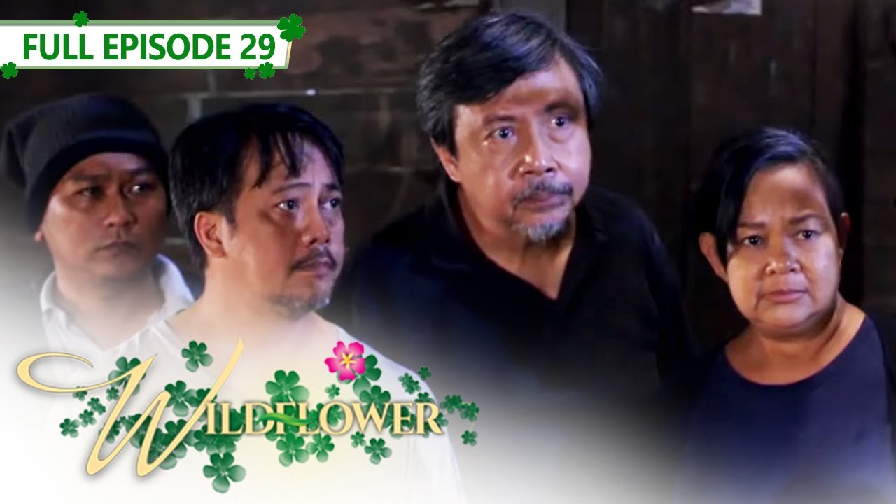 Full Episode 29 | Wildflower with ENG SUB | Maja Salvador, Joseph Marco, RK Bagatsing