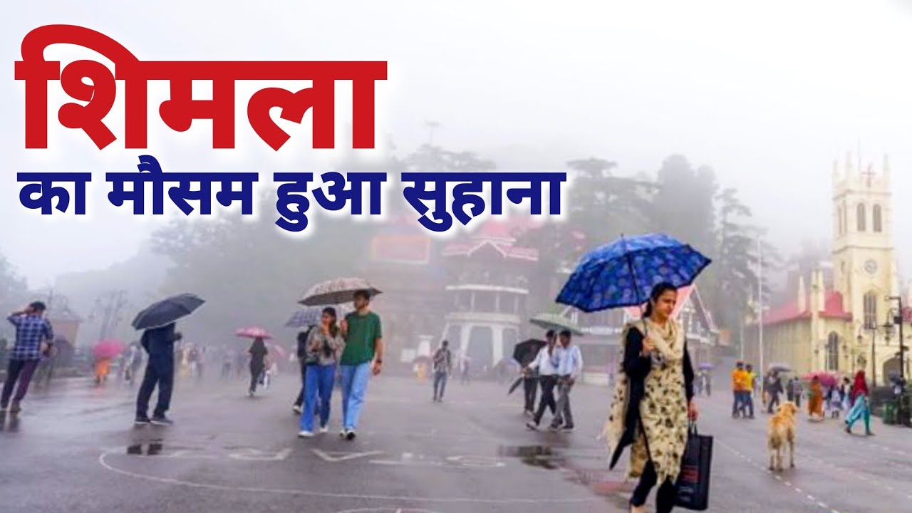 Shimla का सुहाना मौसम | Shimla in Monsoon | Shimla Latest Updates | Shimla Himachal Pradesh #shimla