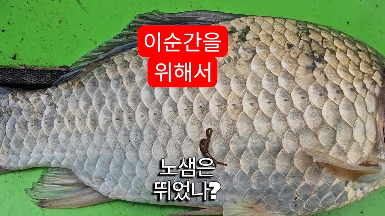 합천댐 낚시 육초 오름 수위#25-22@2화