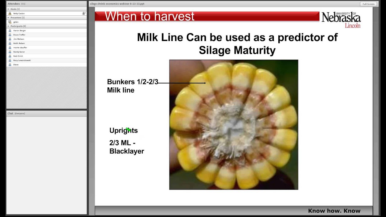 Silage Pricing and Nutrition
