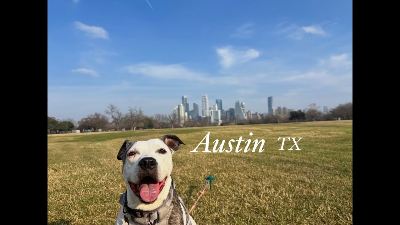 Austin Texas For 4 months