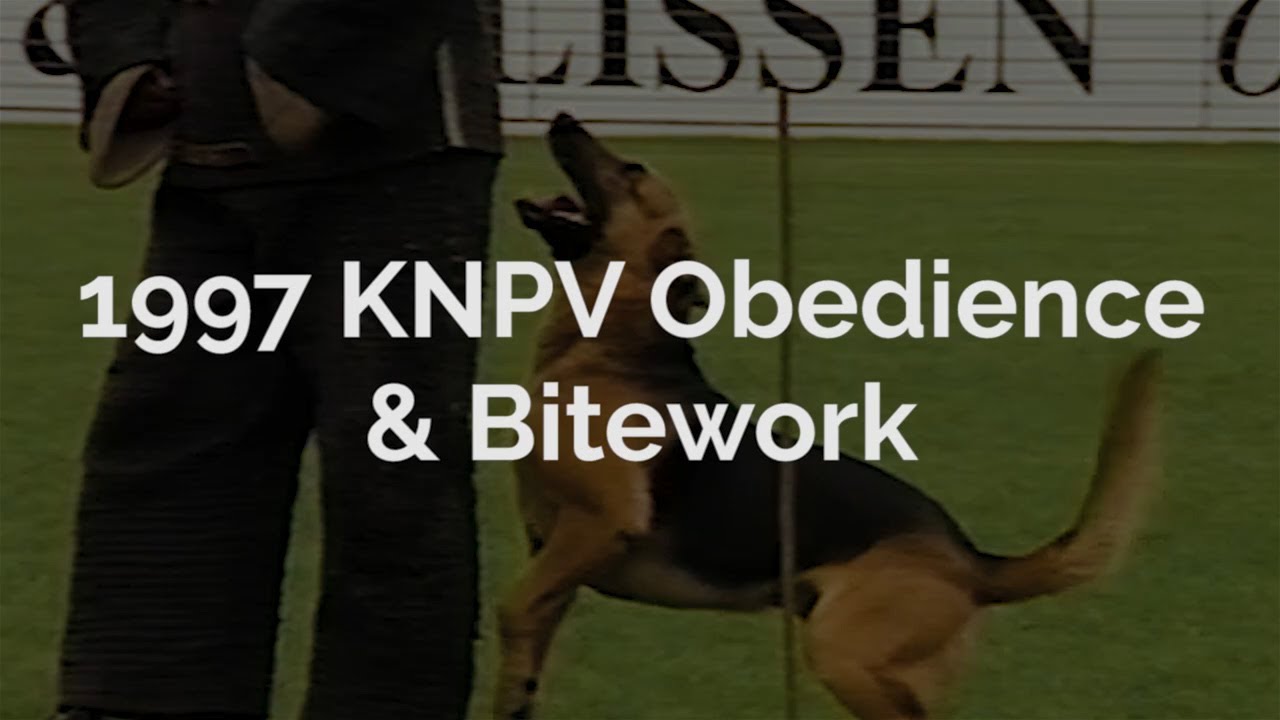 1997 KNPV Obedience Bitework