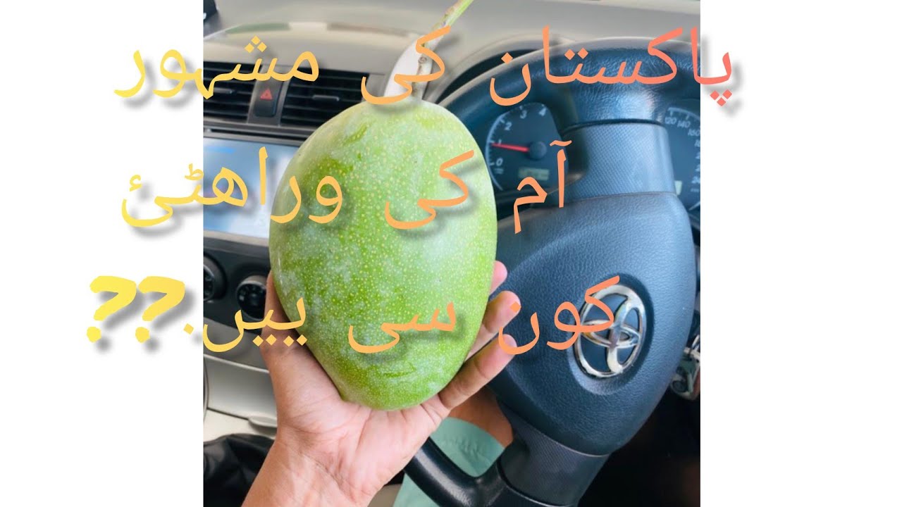 Mango best variety in Pakistan | mango 🥭 ki kn si varity advance or kn si late Hain or kia name hain