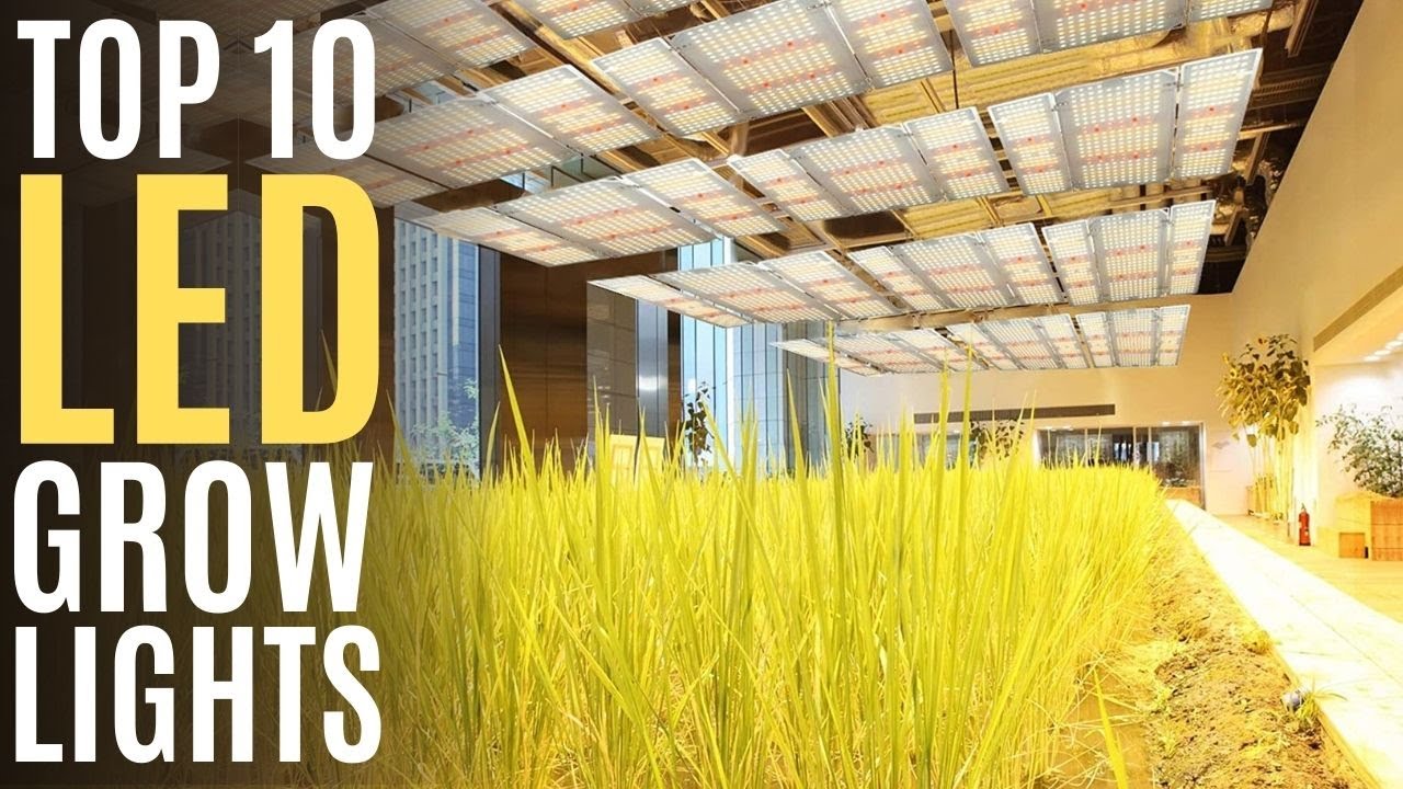 Top 10: Best LED Grow Lights of 2021 / Full Spectrum / Plant Grow Light for Indoor Plants