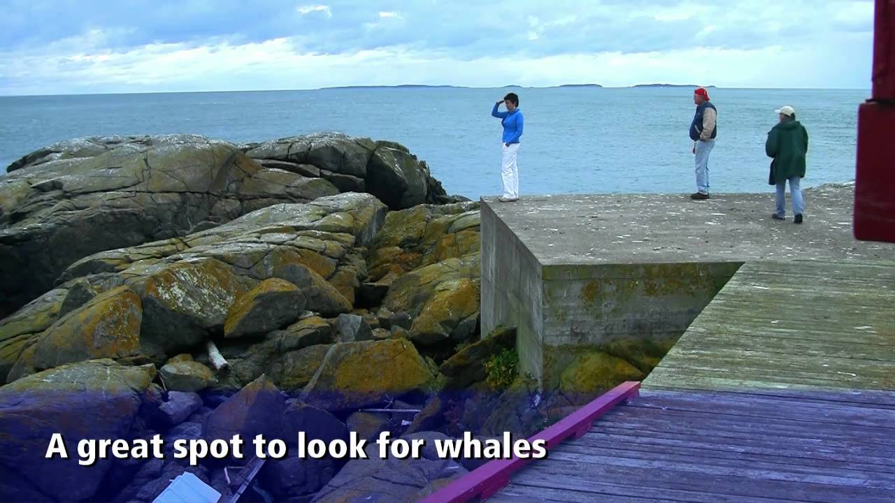 Campobello Island, New Brunswick Bay of Fundy Travel Show Episode 13