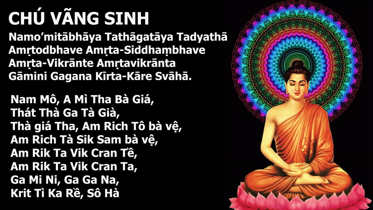 Học Ch&uacute; V&Atilde;NG SINH Tịnh Độ Thần Ch&uacute; Tiếng phạn Amitabha Pure Land Rebirth Mantra