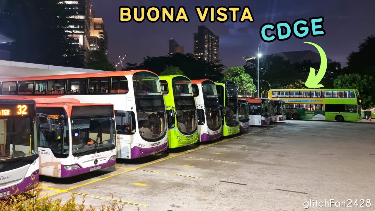 Buses at Buona Vista Bus Terminal, Singapore 2022