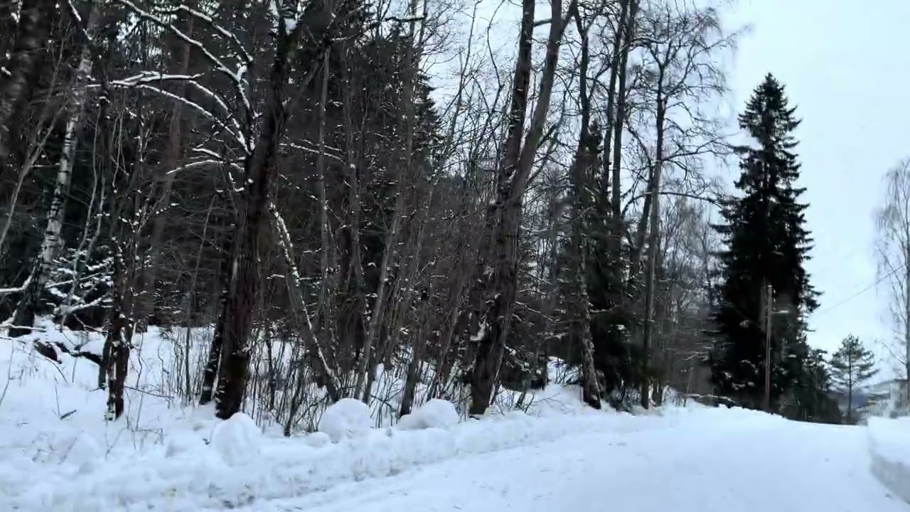 Walking