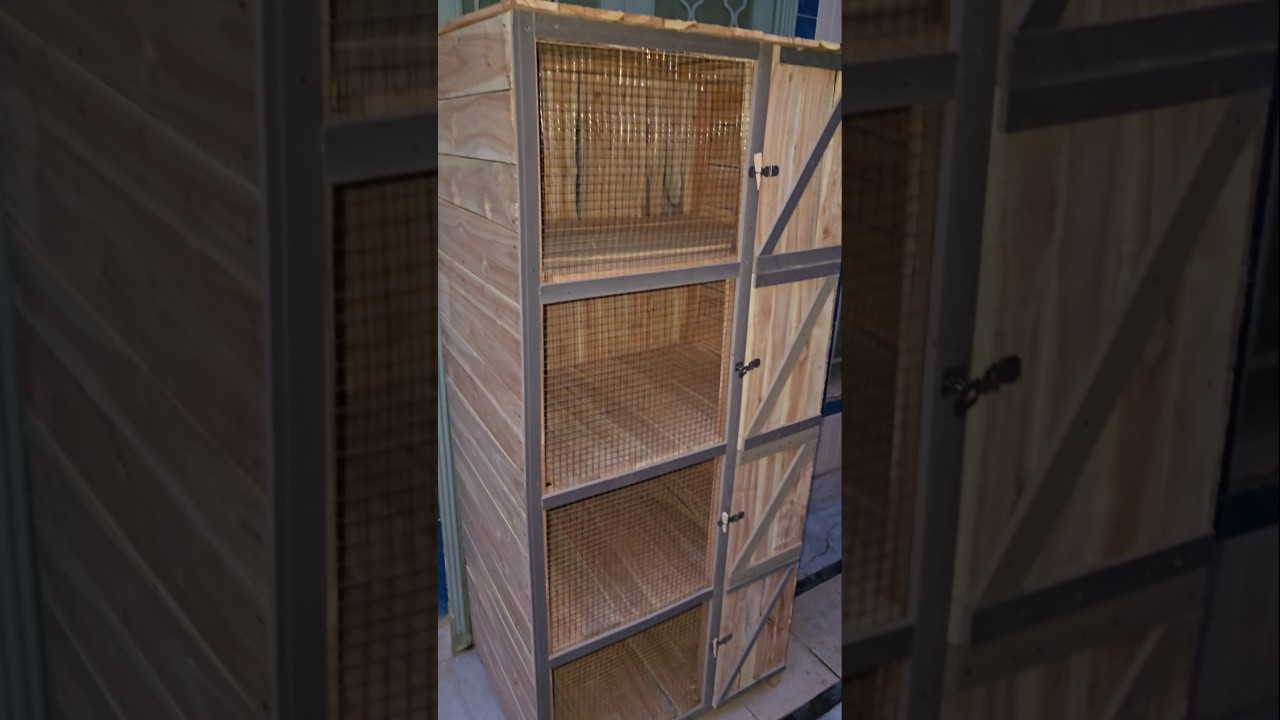 Best Breeding Cage for Pigeons | Birds cage | pigeons cage | pigeons breeding box | #pigeonslovers