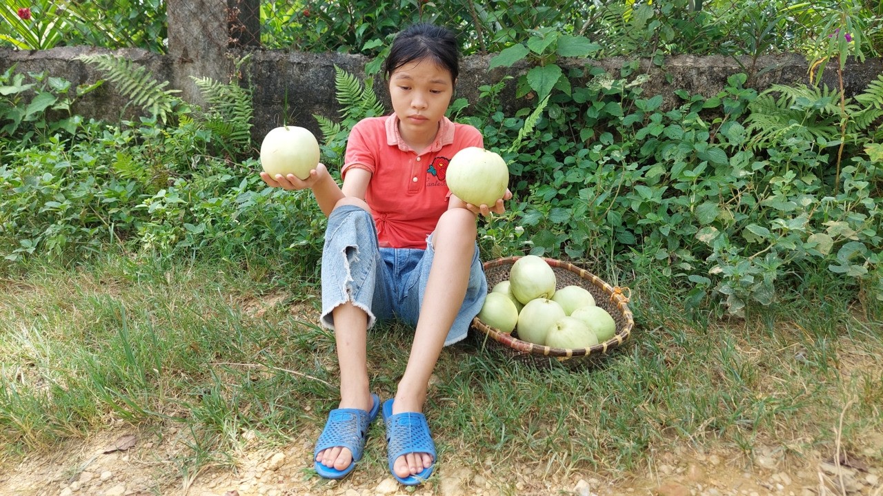 She Harvested Melons All Day to Buy Food… and Saved the Money Left