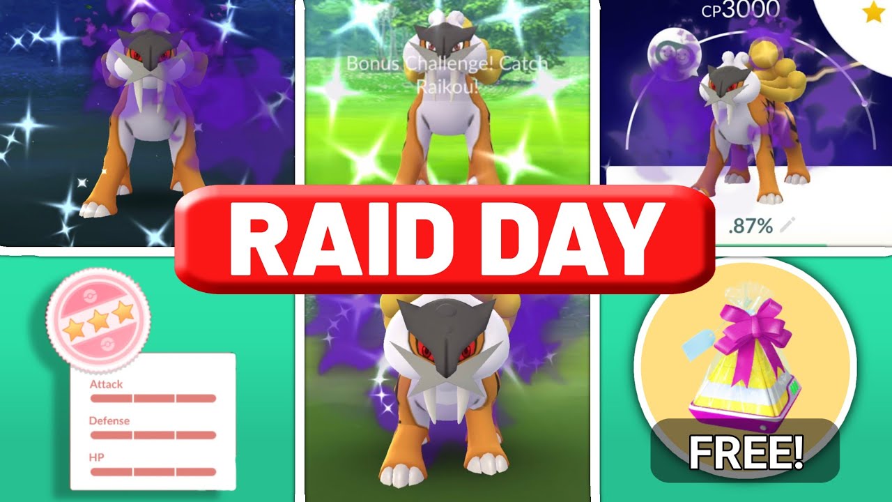 SHADOW RAIKOU RAID DAY | BEST COUNTERS, SHINY CHANCE & RAID TIPS | IN TAMIL