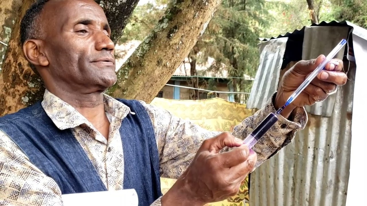 በቦዲቲ 2ኛ ደረጃ ት/ቤት የተደረገ የትምህርት ቤቶች