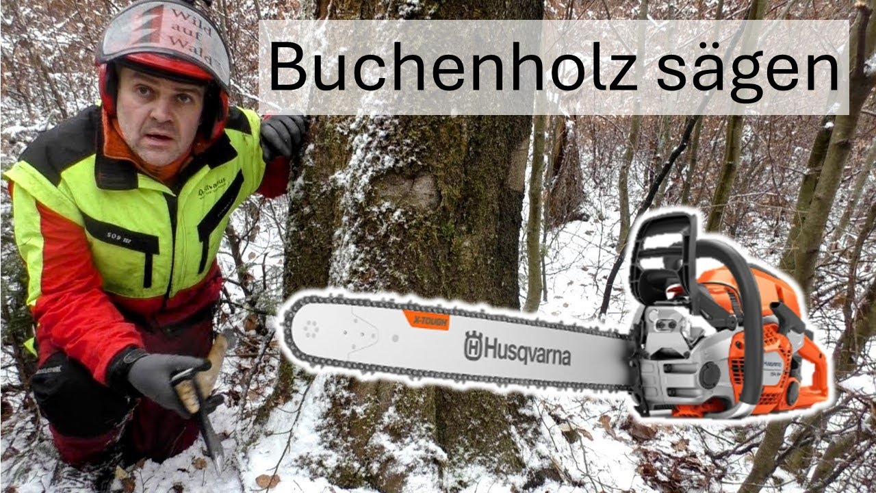 🌲SO macht BRENNHOLZ fällen richtig Spaß – schnell, sicher mit Husqvarna 564 XP #wildaufwald