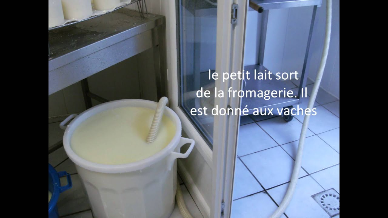 la fabrication de la tomme du Blot